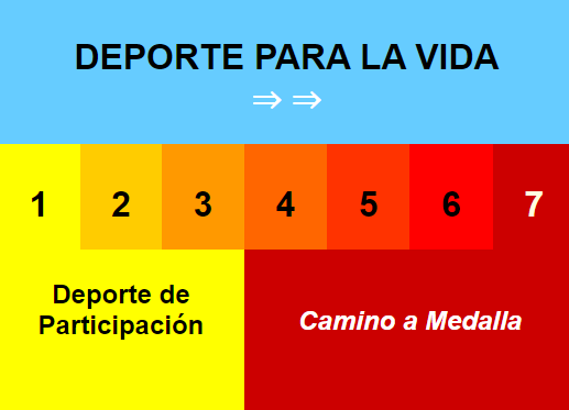 Modelo de desarrollo del nadador a largo plazo (LTAD)